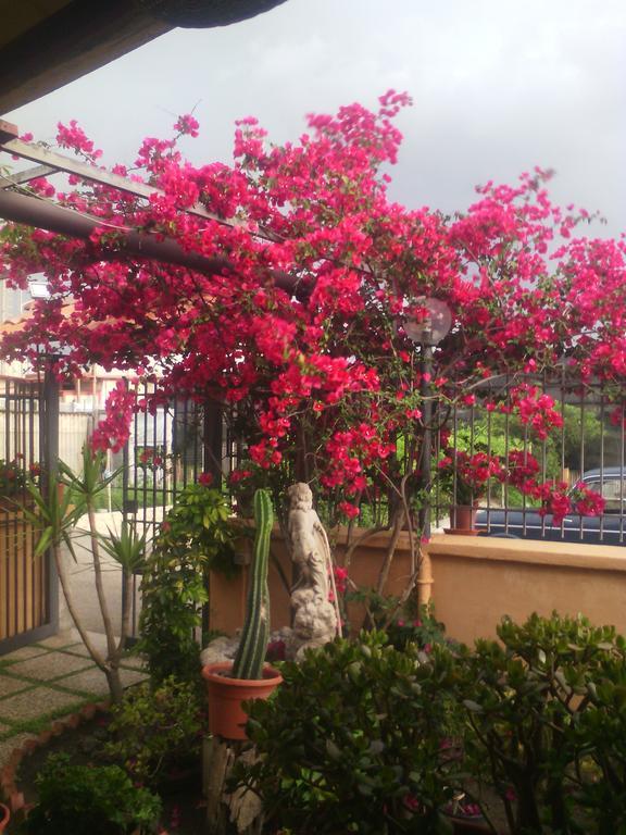 Domus Felix Bed and Breakfast Ercolano Buitenkant foto