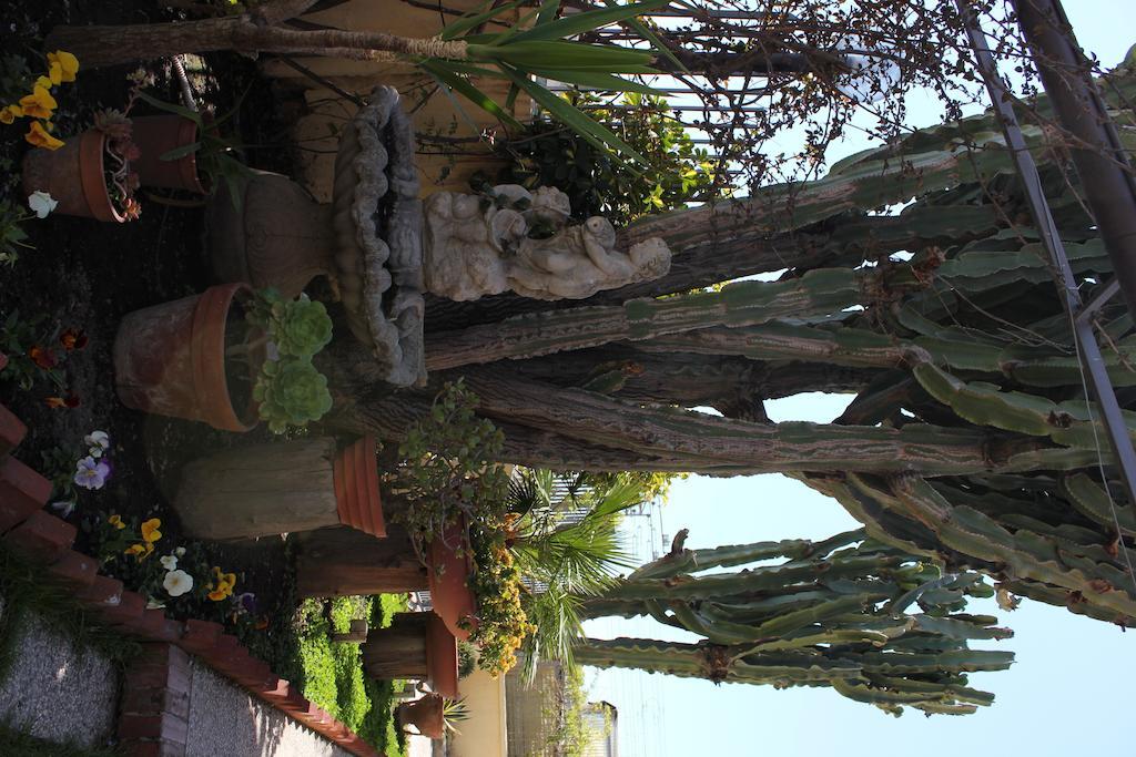 Domus Felix Bed and Breakfast Ercolano Buitenkant foto